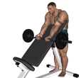 EZ Bar Curl - Standing Incline